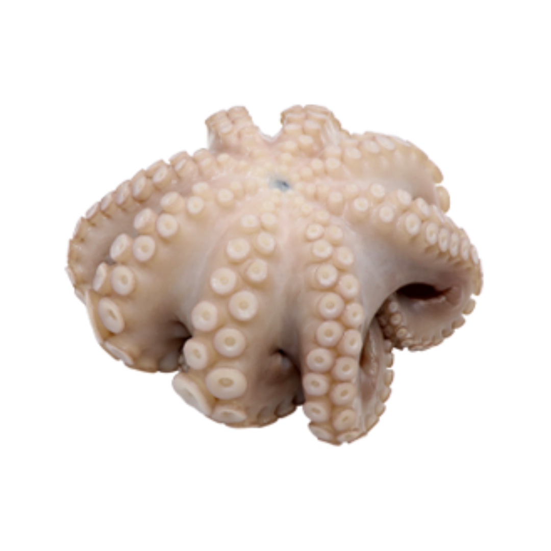 RestoMarket - PULPO IQF CALIB (1 a 2 KG) CAJA 15 KG